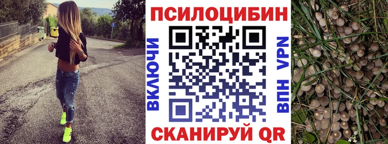 Купить закладки  Алзамай  Галлюциногенные грибы Magic Shrooms 