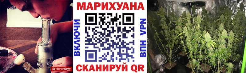 Марихуана индика Алзамай