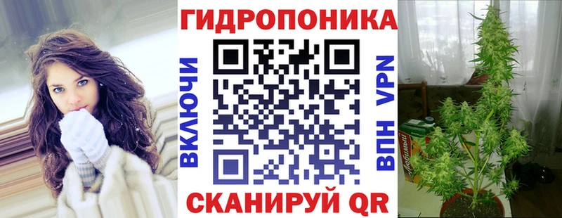 Купить где  Алзамай  Бошки Шишки OG Kush 